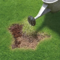 Miracle-Gro Patch Magic Grass Seed, Feed & Coir - 10 Patch Jug -Gardening Tool Store 12809397 7204927299156486