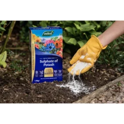 Westland Sulphate Of Potash - 1.5kg -Gardening Tool Store 12816260 1154971590361069