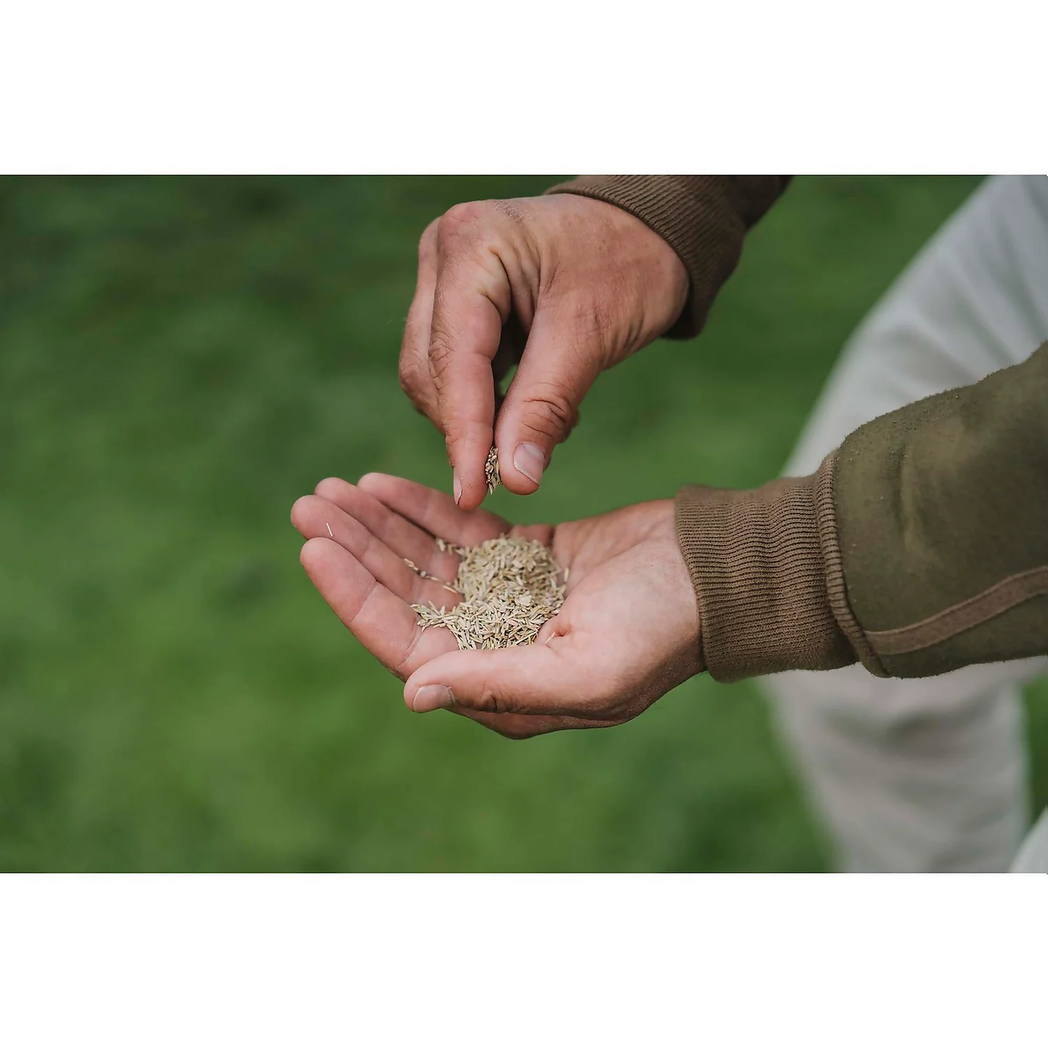 Gro-Sure Multi Purpose Lawn Seed - 13m² 2 Gro-Sure Multi Purpose Lawn Seed - 13m² - Image 2