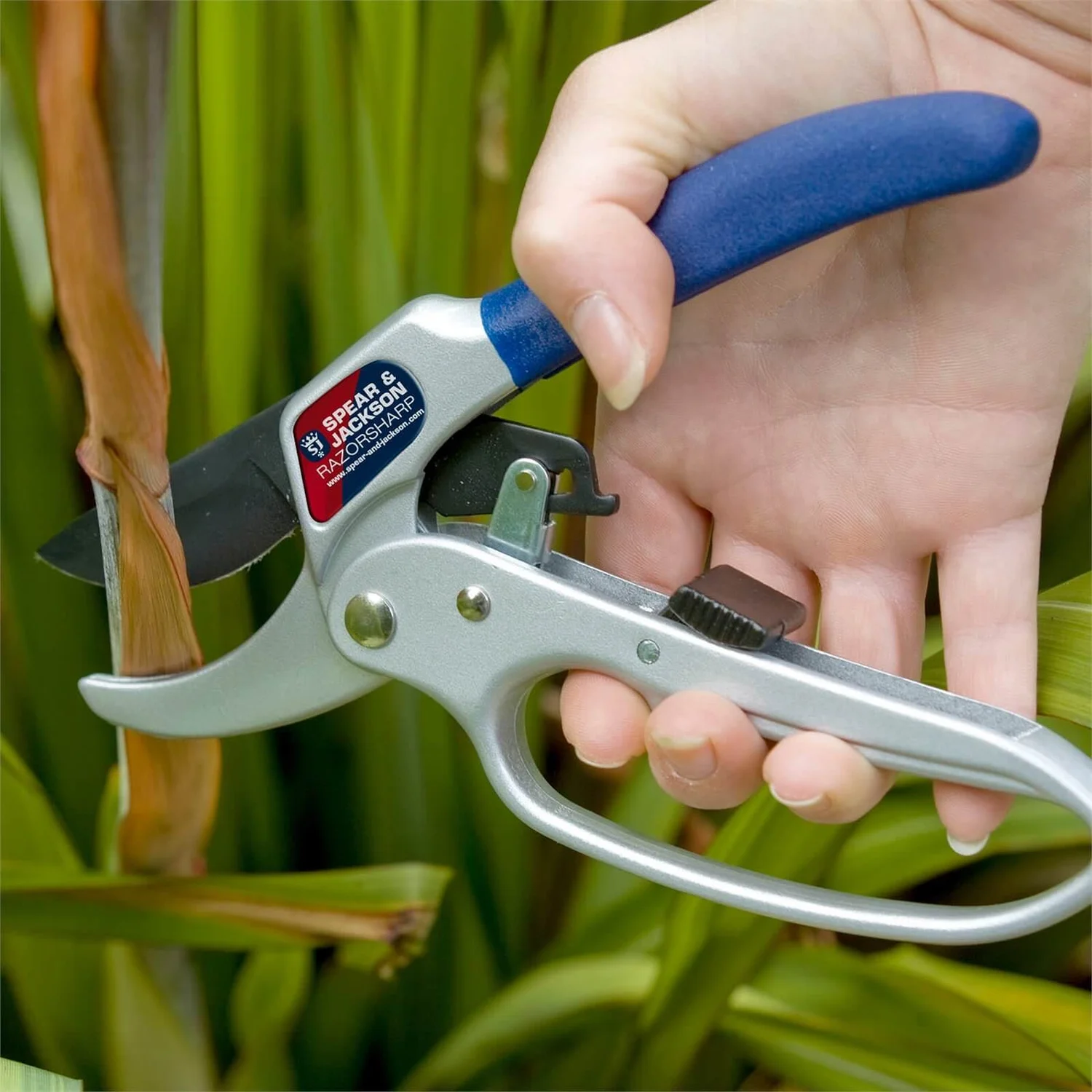 Spear & Jackson Razorsharp Secateurs With Loop Handle 2 Spear & Jackson Razorsharp Secateurs With Loop Handle - Image 2