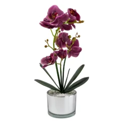 Orchid With Silver Glass Pot - Purple
