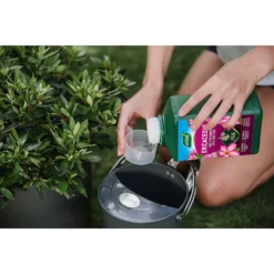 Westland Ericaceous Specialist Feed - 1l -Gardening Tool Store 12886482 2014971590635353