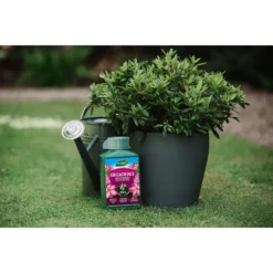 Westland Ericaceous Specialist Feed - 1l -Gardening Tool Store 12886482 6714971590616774