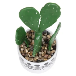 Cactus In Abstract Pot -Gardening Tool Store 12909502 1064869235554777