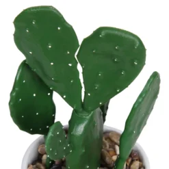 Cactus In Abstract Pot -Gardening Tool Store 12909502 1344869235594629