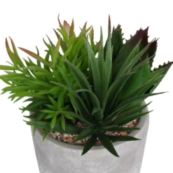 Mixed Succulent In Grey Pot -Gardening Tool Store 12909503 1064869235639350