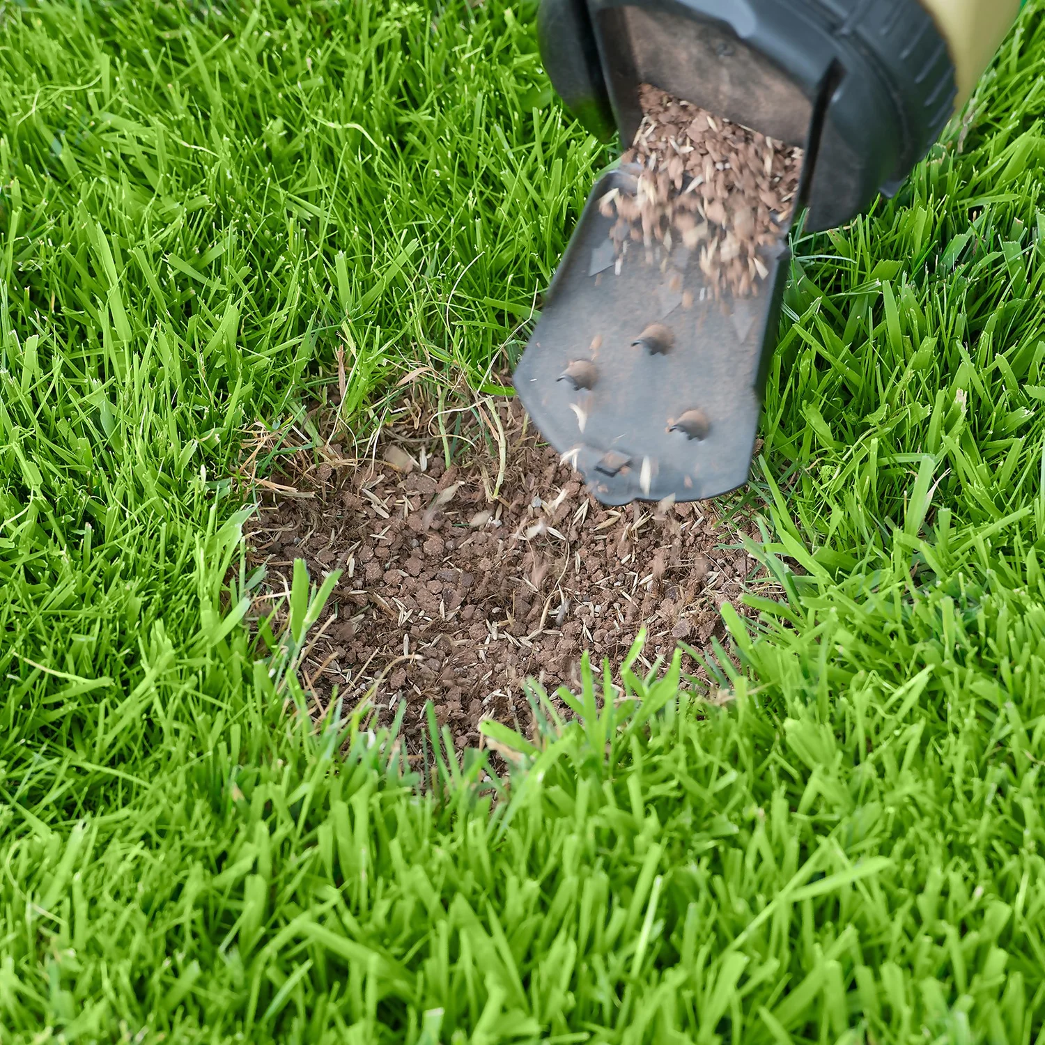 Miracle-Gro Patch Magic Dog Spot Repair Grass Seed - 130 Spots 3 Miracle-Gro Patch Magic Dog Spot Repair Grass Seed - 130 Spots - Image 3
