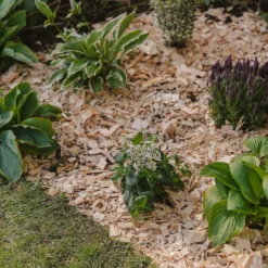 Westland Rustic Wood Chips - 60L -Gardening Tool Store 13280769 1564929084866478