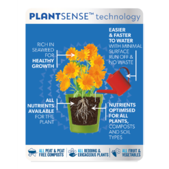 Westland Boost All Purpose Plant Food 1L -Gardening Tool Store 13411841 1554971590892285