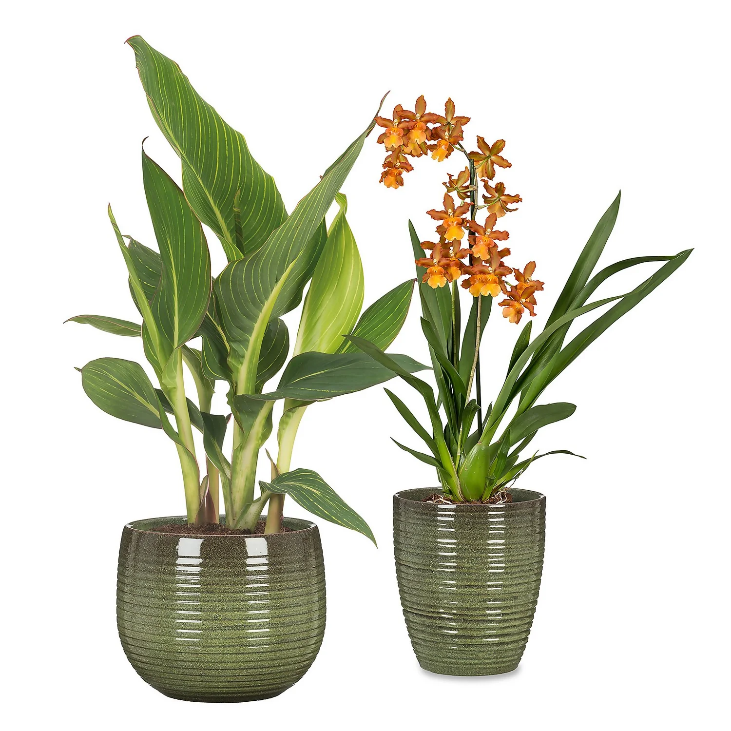 Jungle Green Plant Pot - 18cm 2 Jungle Green Plant Pot - 18cm - Image 2