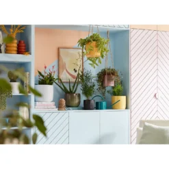 Jungle Green Plant Pot - 18cm 5 Jungle Green Plant Pot - 18cm -Gardening Tool Store 13432896 5854948250029521