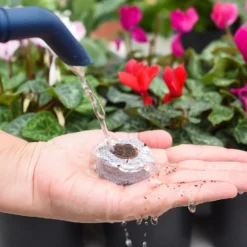 Coco & Coir Seed Germination Dots - 40mm -Gardening Tool Store 13487129 7814919981385408