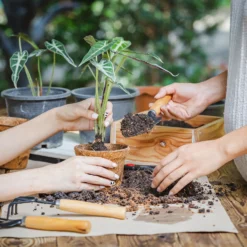 Coco & Coir Round Fibre Pot - 20cm -Gardening Tool Store 13487130 4344931201157651