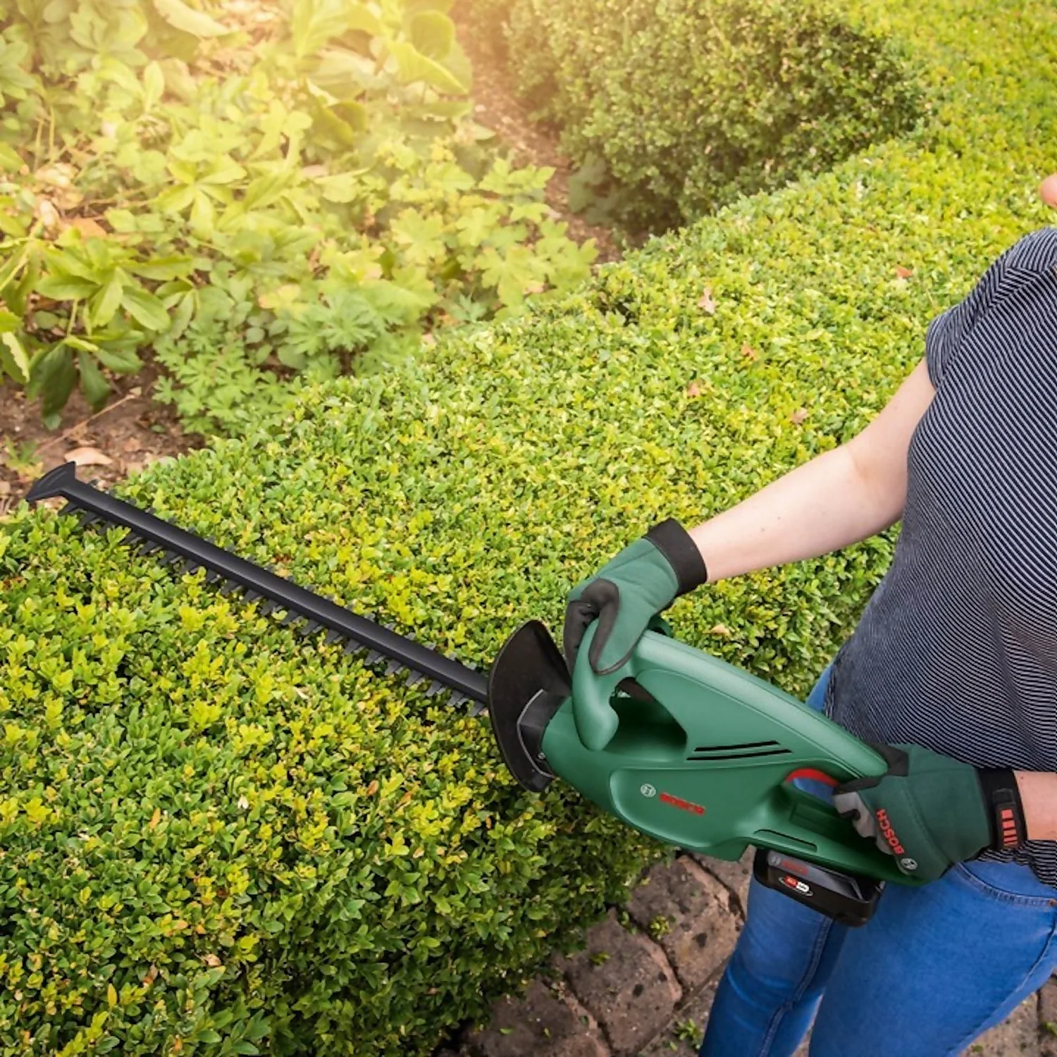 Bosch EasyHedgeCut 18-45 Hedge Trimmer 9 Bosch EasyHedgeCut 18-45 Hedge Trimmer - Image 9