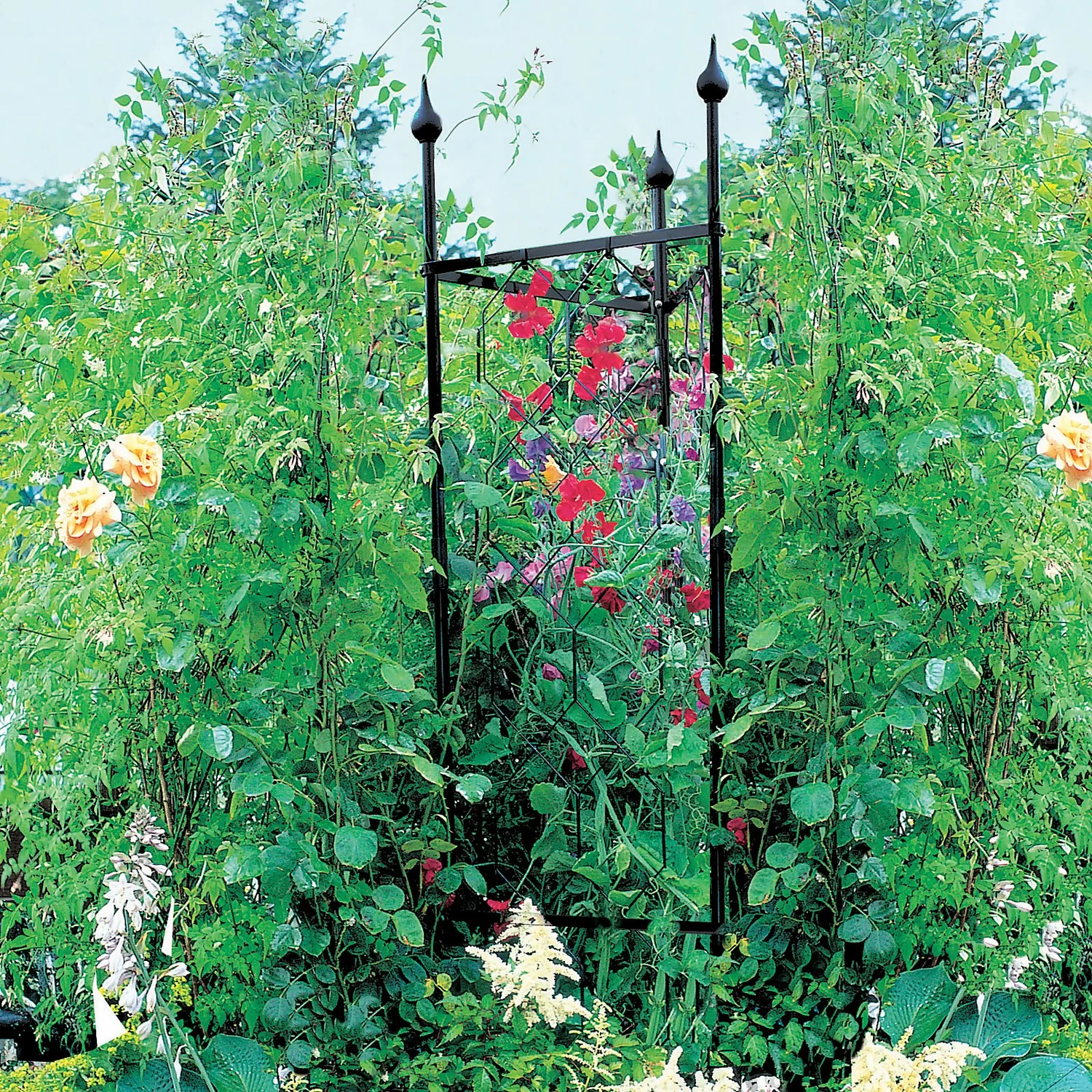 Agriframes Tricorn Decorative Garden Obelisk - Black 2 Agriframes Tricorn Decorative Garden Obelisk - Black - Image 2