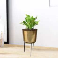 Brass Indoor Plant Pot With Straight Stand - 14cm -Gardening Tool Store 13887189 1004999809742584