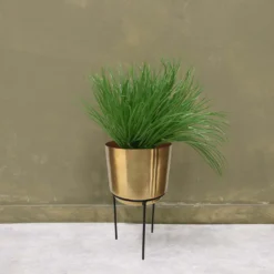 Brass Indoor Plant Pot With Straight Stand - 14cm -Gardening Tool Store 13887189 2044999809776136