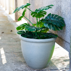 Ashford Planter Grey 35cm -Gardening Tool Store 13928636 1105001955420998