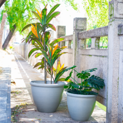 Ashford Planter Grey 35cm -Gardening Tool Store 13928636 1795001955680876