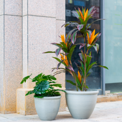 Ashford Planter Grey 35cm -Gardening Tool Store 13928636 4345001955583745