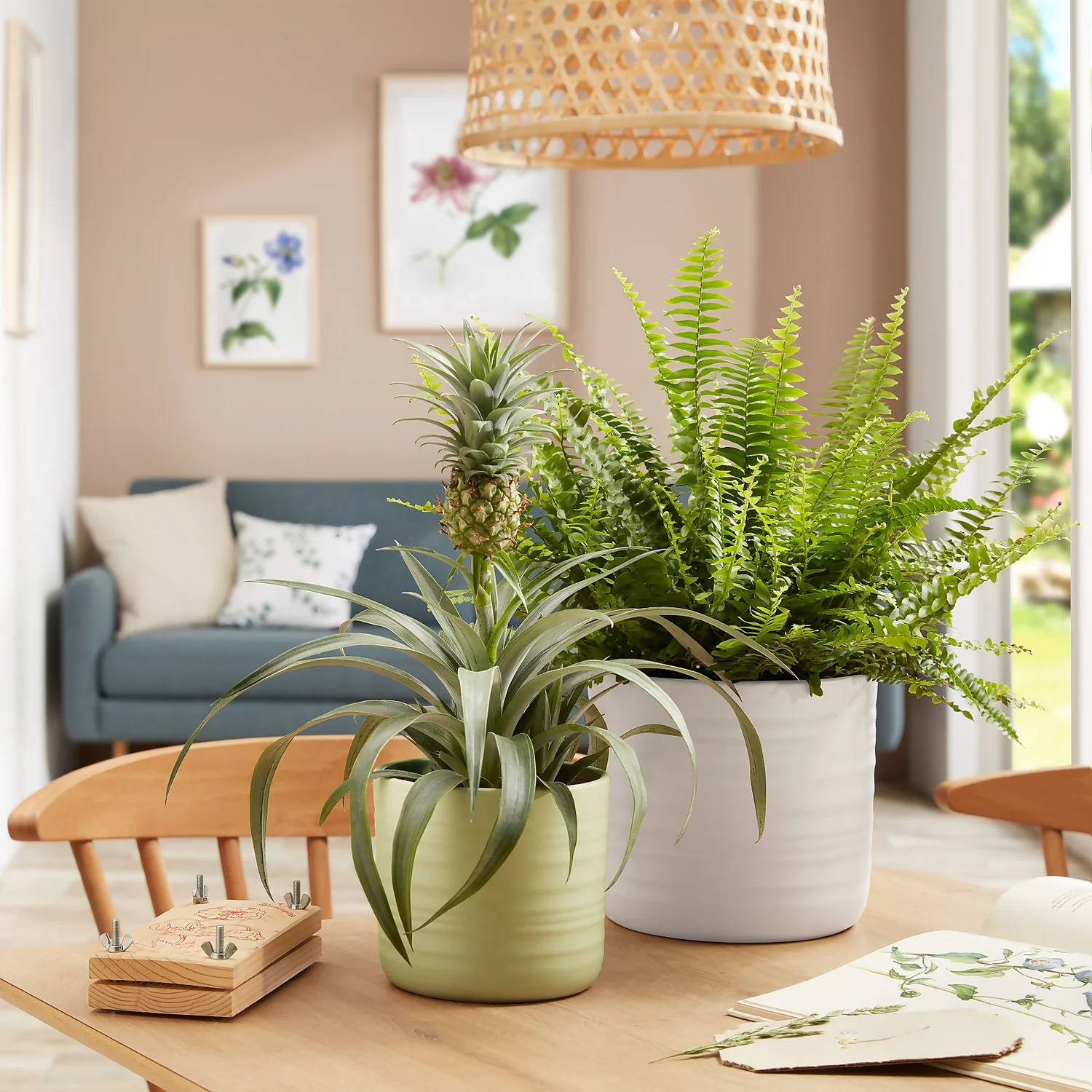 Scheurich Ripple White Indoor Pot - 17cm 3 Scheurich Ripple White Indoor Pot - 17cm - Image 3