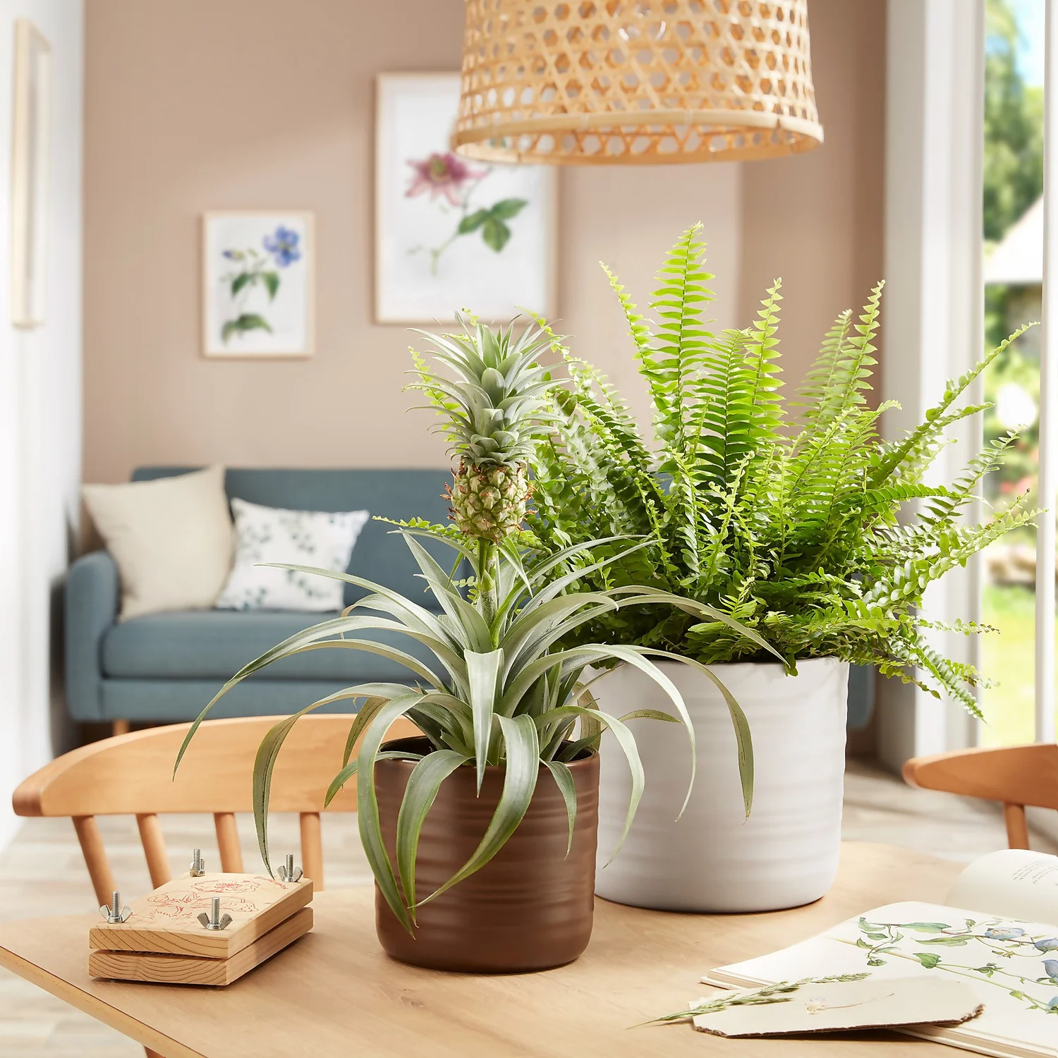 Scheurich Ripple White Indoor Pot - 17cm 2 Scheurich Ripple White Indoor Pot - 17cm - Image 2