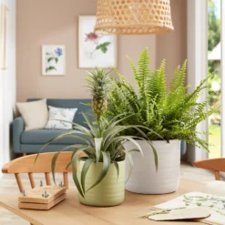 Scheurich Ripple White Indoor Pot - 28cm -Gardening Tool Store 13953263 9804987120214778