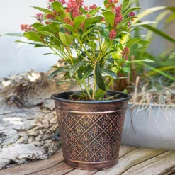 Vintage Allium Patterned Cone Pot - 37cm 11 Vintage Allium Patterned Cone Pot - 37cm -Gardening Tool Store 13973621 1465011240040754