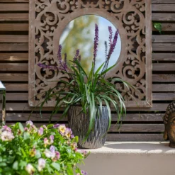 Chiswick Textured Pot Black - 32cm 8 Chiswick Textured Pot Black - 32cm -Gardening Tool Store 13973634 2915011238297361