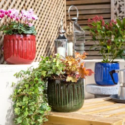 Chiswick Running Pot Blue - 24cm -Gardening Tool Store 13973640 1635011238706765