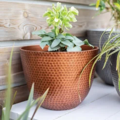 Suva Hammered Pot Copper - 31cm -Gardening Tool Store 13973652 1715011805989134