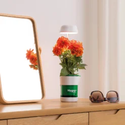 JML HygroPod - LED Grow Light & Self-Watering Plant Pot 5 JML HygroPod - LED Grow Light & Self-Watering Plant Pot -Gardening Tool Store 14005848 1565000841266625