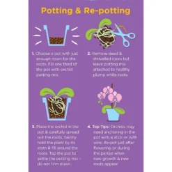 Westland Orchid Potting Mix Peat Free 8L 5 Westland Orchid Potting Mix Peat Free 8L -Gardening Tool Store 14013784 4815003754410304