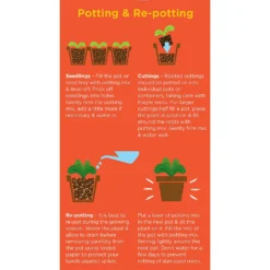 Westland Cacti & Succulent Potting Mix Peat Free 4L -Gardening Tool Store 14013786 1245003754031248
