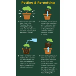 Westland Bonsai Potting Mix Peat Free 4L -Gardening Tool Store 14013787 2185003754340767