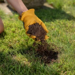 Gro-Sure Lawn Seeding Soil 25L -Gardening Tool Store 14013795 6885003754801318