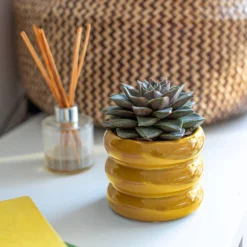 Ribbed Indoor Plant Pot - 11cm 12 Ribbed Indoor Plant Pot - 11cm -Gardening Tool Store 14197409 1165024191339590