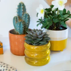 Ribbed Indoor Plant Pot - 11cm 15 Ribbed Indoor Plant Pot - 11cm -Gardening Tool Store 14197409 5925024191500561